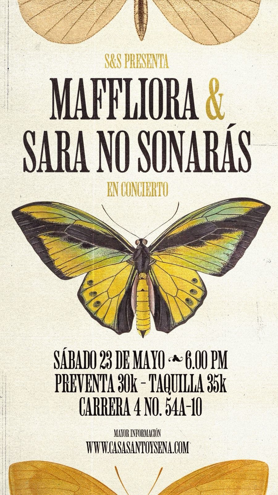 Maffliora & Sara No Sonarás en Concierto
